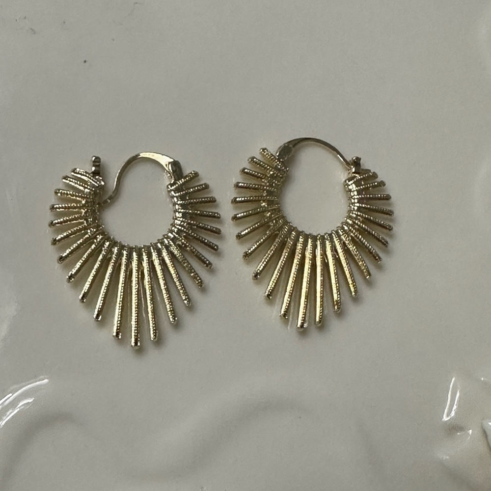 Elegant Gold Hoop Earrings